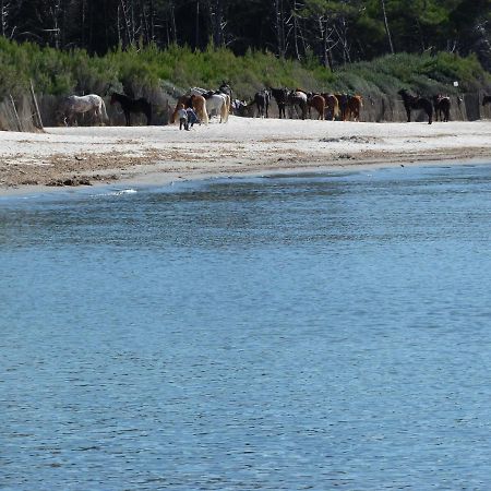 Affittacamere A Due Passi Dal Mare Marina di Cecina Exterior foto