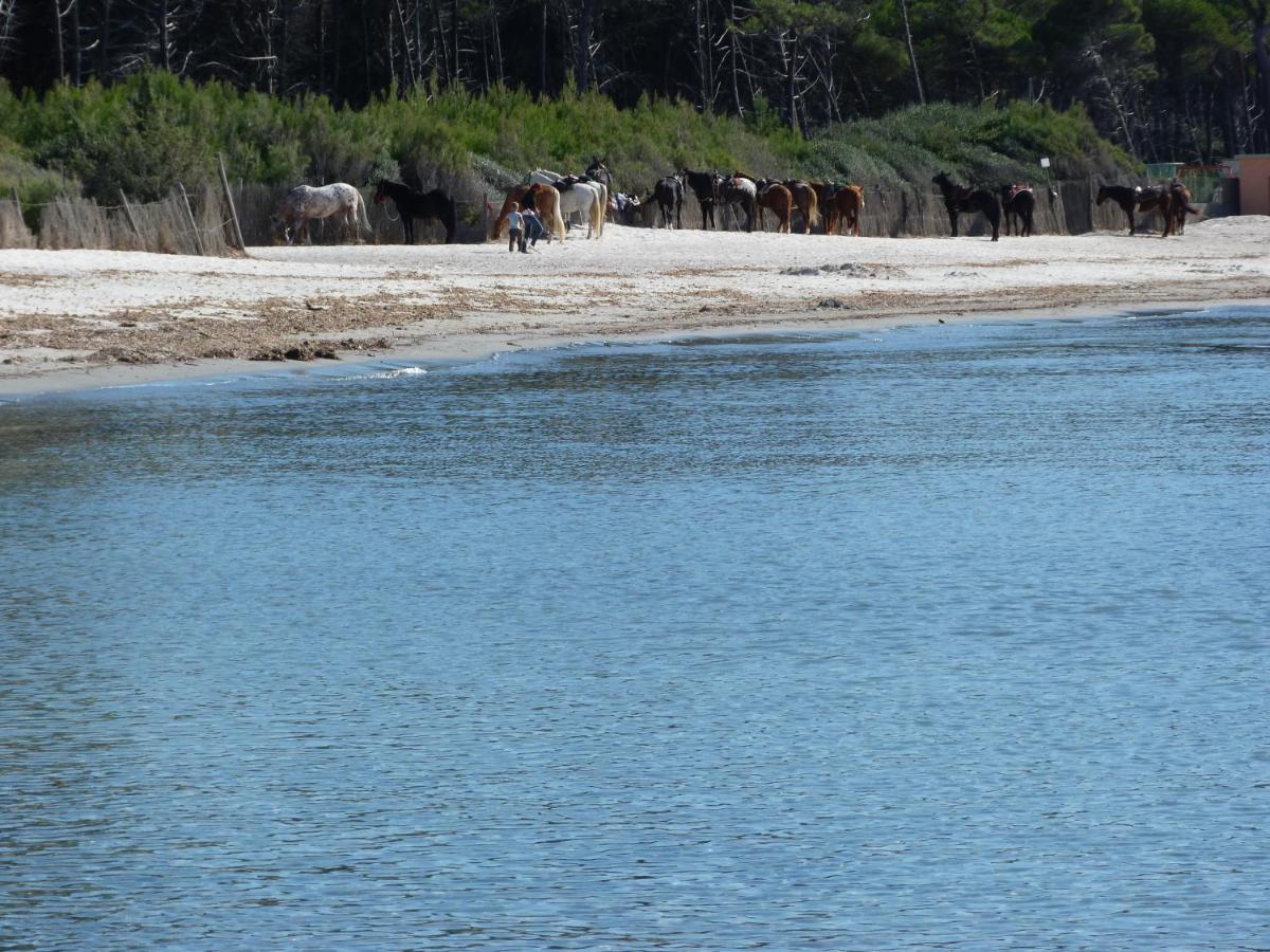 Affittacamere A Due Passi Dal Mare Marina di Cecina Exterior foto